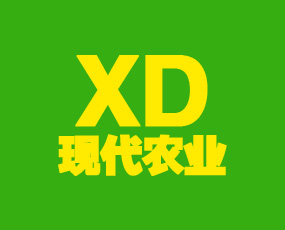 �����F���r�I�Ƽ����޹�˾