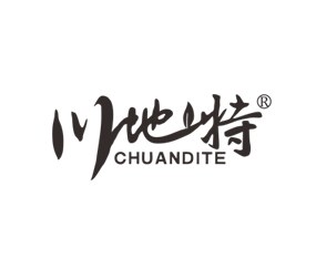 �Ĵ�ʡ�������r�I�Ƽ����޹�˾