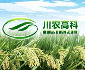 �Ĵ��r��߿��r�I����؟�ι�˾