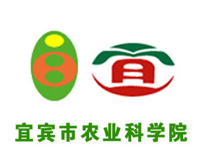 ���e���r�I�ƌWԺ