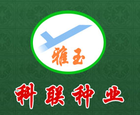 �Ĵ����Ͽ��N�I����؟�ι�˾