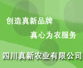 �Ĵ������r�I���޹�˾