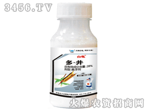 ����-��-��