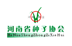 ����ʡ�N�Ӆf��