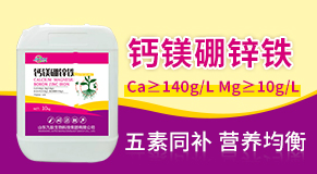 ɽ�|��������Ƽ����F���޹�˾