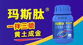 ���ϲ���ɭ�r�I�Ƽ����޹�˾