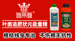 ����ʩ�R�����＼�g���޹�˾