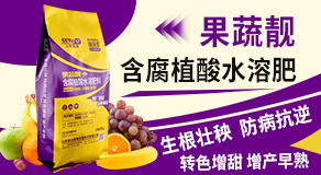 ɽ�|�����������＼�g���޹�˾