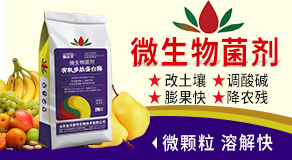 ɽ�|�����������＼�g���޹�˾