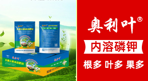 �ؑc�W���~�W�����r�I�Ƽ����޹�˾