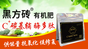 �۹����S���r�I�Ƽ��lչ���޹�˾