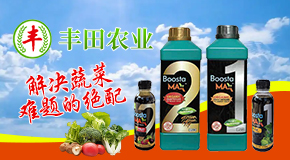 �۹����S���r�I�Ƽ��lչ���޹�˾