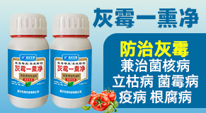 �ĳ��Z������Ƽ����޹�˾