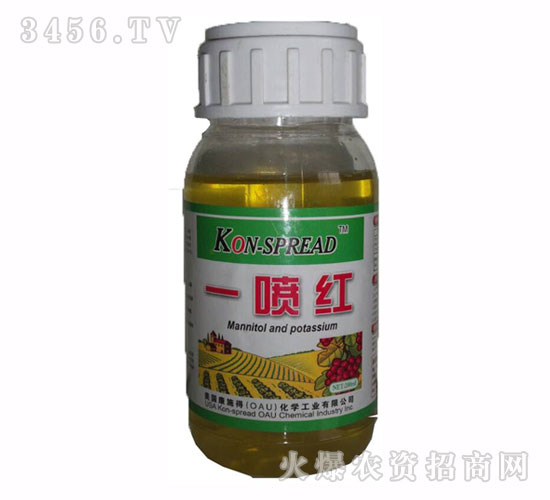 �~���-һ���t