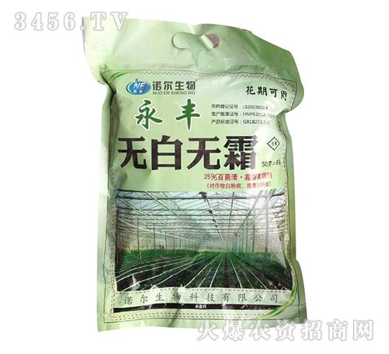 無(wú)白無(wú)霜-諾爾