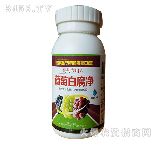 ���Ѱ׸���-�Z������