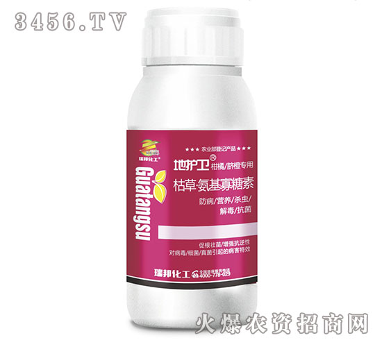 �ݲݡ����������ؚ�����-���o�l-����