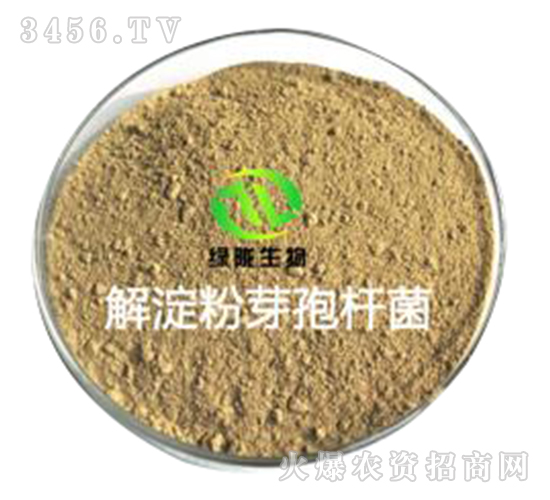 �����ѿ�ߗU��-�G�]����