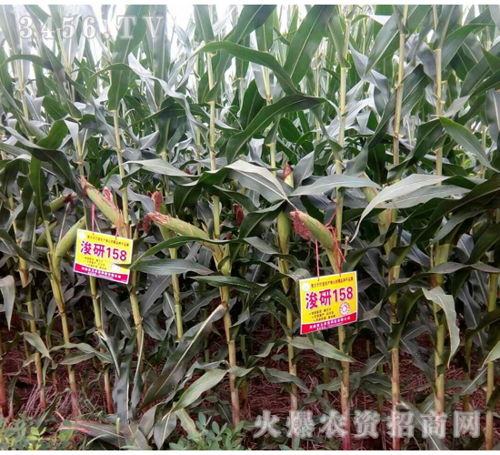 ����158-�����r�I