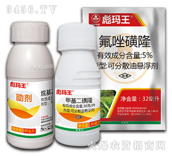 С������݄��M��-�묔��-�к����_