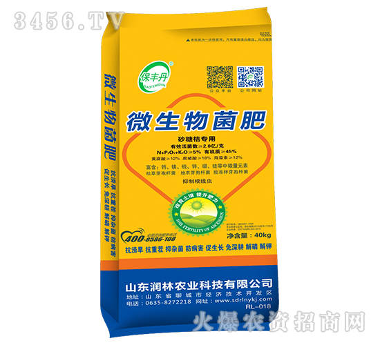 ɳ�ǽی���΢�������-���S��-�����r�I