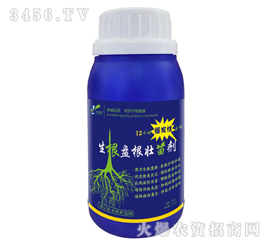 �����P�����焩-׿�R��-׿���r�I