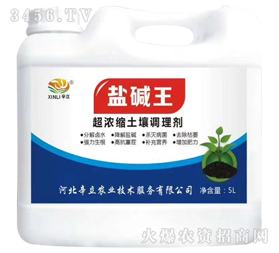 ����s�����{�턩-�}�A��-����