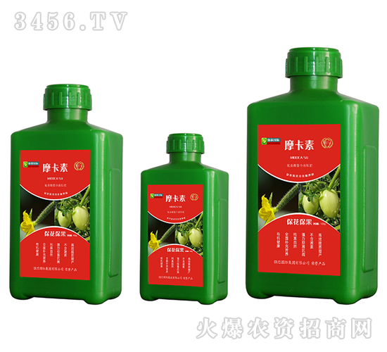 ������������������Һ�ķ�-Ħ����-��о