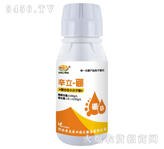 ���ϑBС������-����