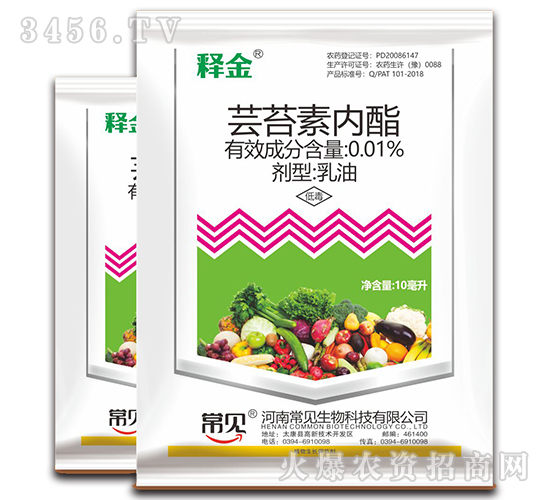 �|̦�؃���-ጽ�-��Ҋ����