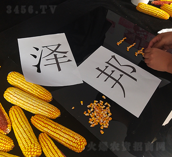 ˼����aƷ�V���Ĕz