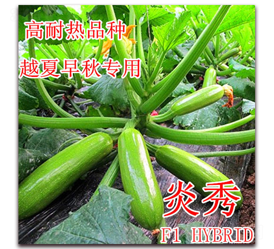 ����-�����J�N��-��ʢ�r�I