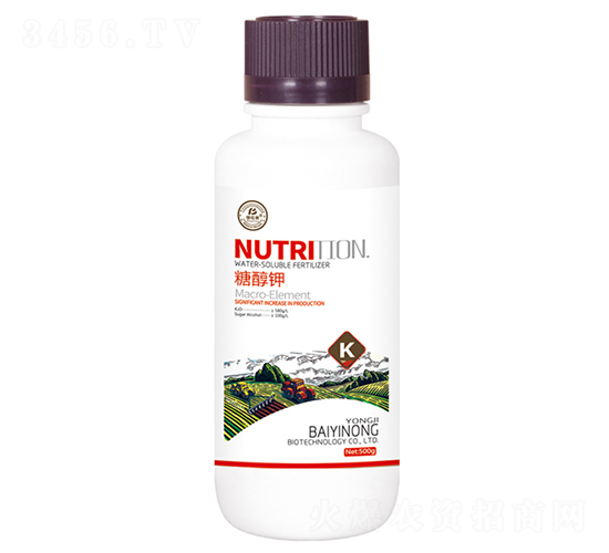 �Ǵ��-�ۃ|�r����