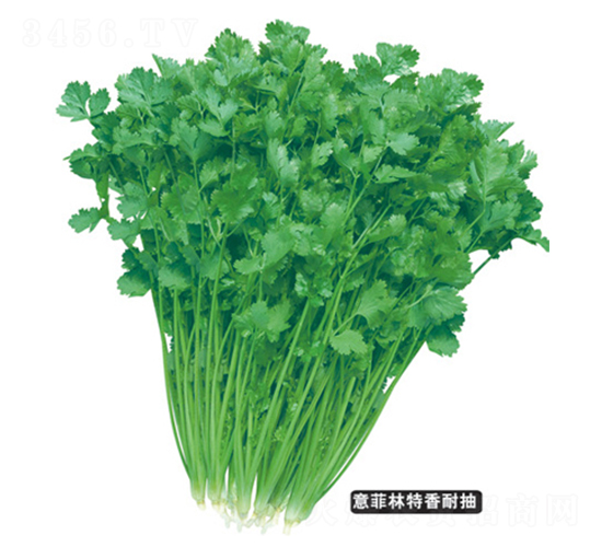 ̩���ļ��ͳ�ܾݴ-ܾݴ�N��-�F(xi��n)���N�I(y��)