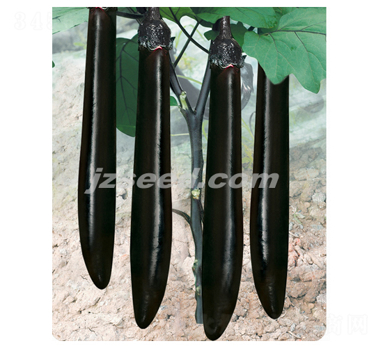 �f������-���ӷN��-�F(xi��n)���N�I(y��)