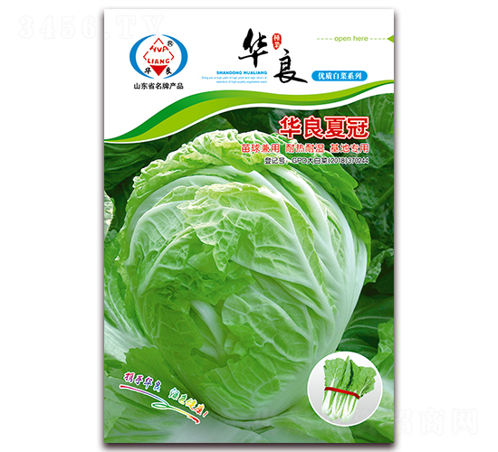 �A���Ĺ�-��ײ˷N��-�A���N�I