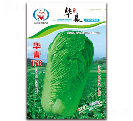 �A��178-��ײ˷N��-�A���N�I