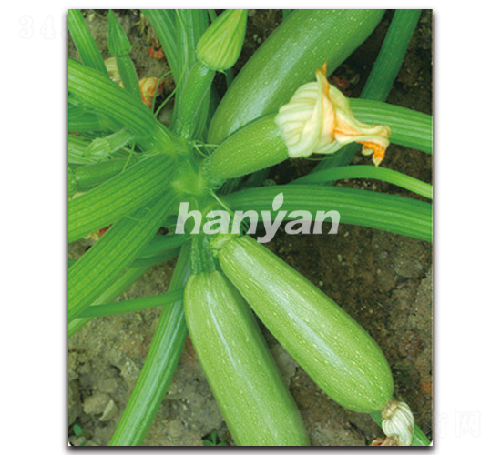 �h�@����-�����J�N��-�h��