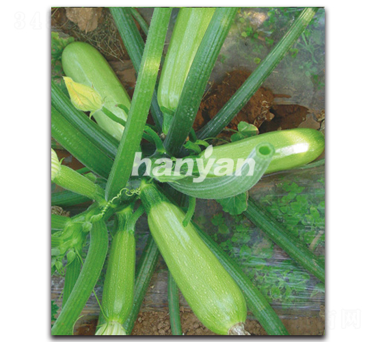 �h�@���G-�����J�N��-�h��