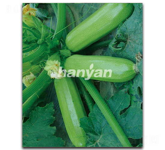 �h��һ̖-�����J�N��-�h��