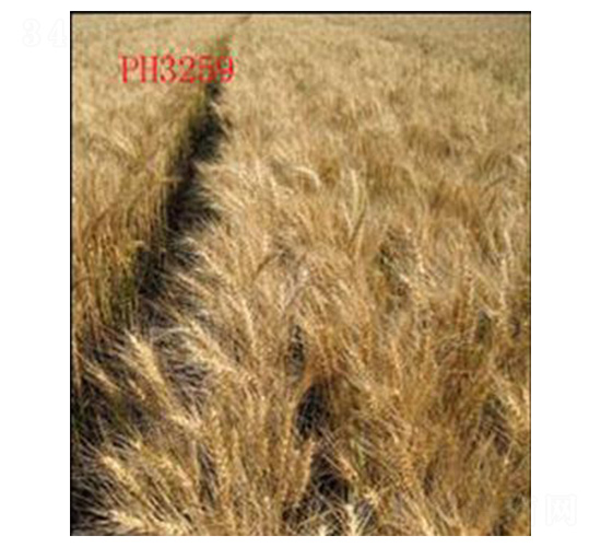 ɽ�r(n��ng)12̖-С���N��-���N