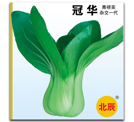 ���A-�๣�˷N��-�����N�I