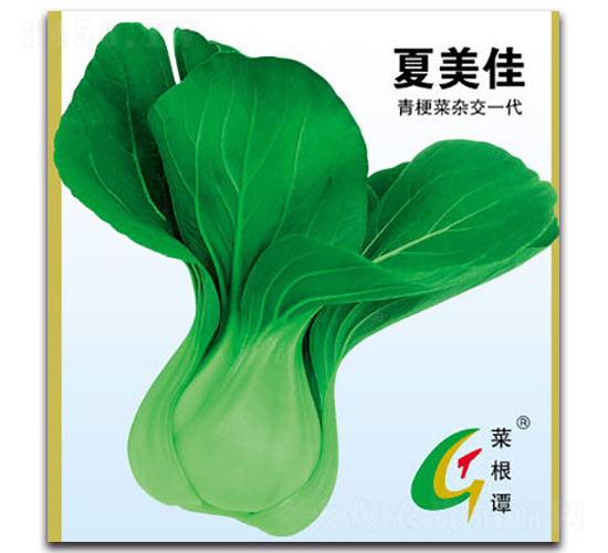 ������-�๣�˷N��-�����N�I