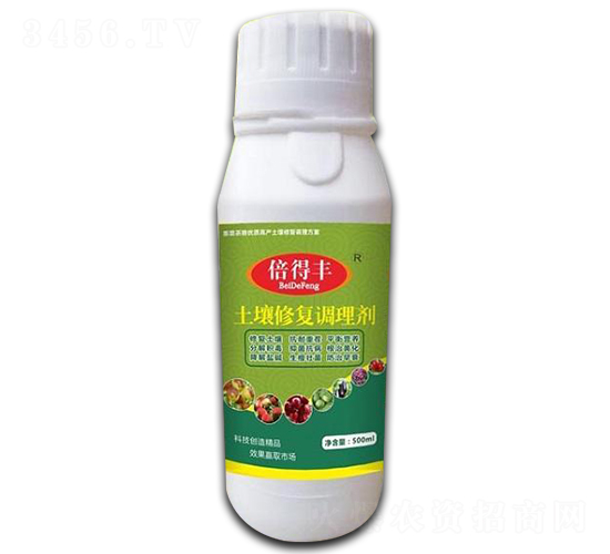 �����{���ޏ̈́�-�����S