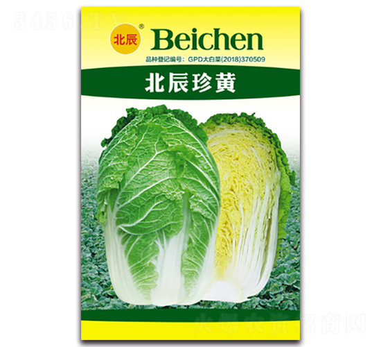 �������S-��ײ˷N��-�����N�I