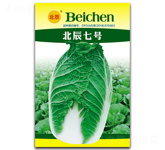 ������̖-��ײ˷N��-�����N�I