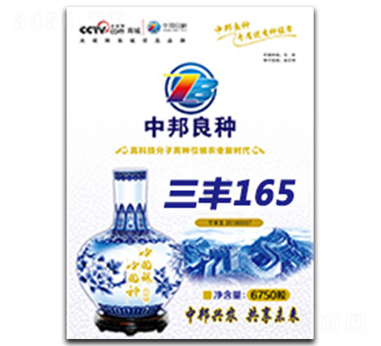 三豐165-玉米種子-中邦農業