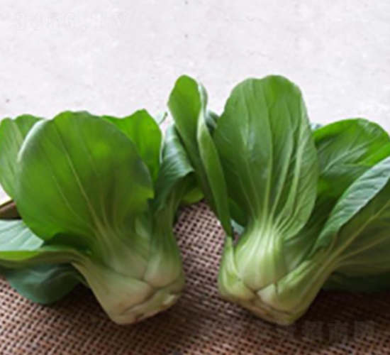 ������-�๣�˷N��-����r�I