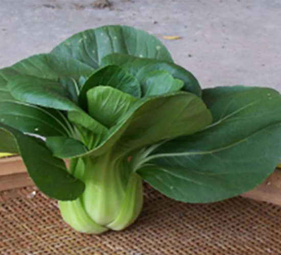 �L����̖�๣��-�๣�˷N��-����r�I