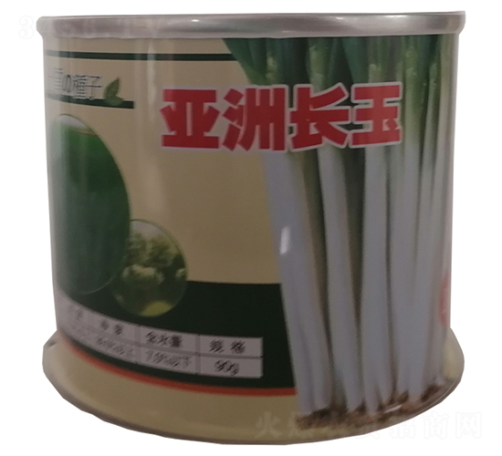 �����L��-���[�N��-�����r�I